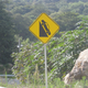 Illustration for article titled How To Run Downhill: Advice From The World's Best Mountain Runner